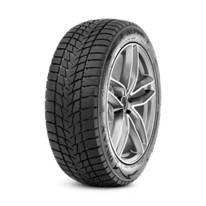 195/55R16 Radar Dimax Alpine 91H XL  (m+s)(3PMSF)  FR